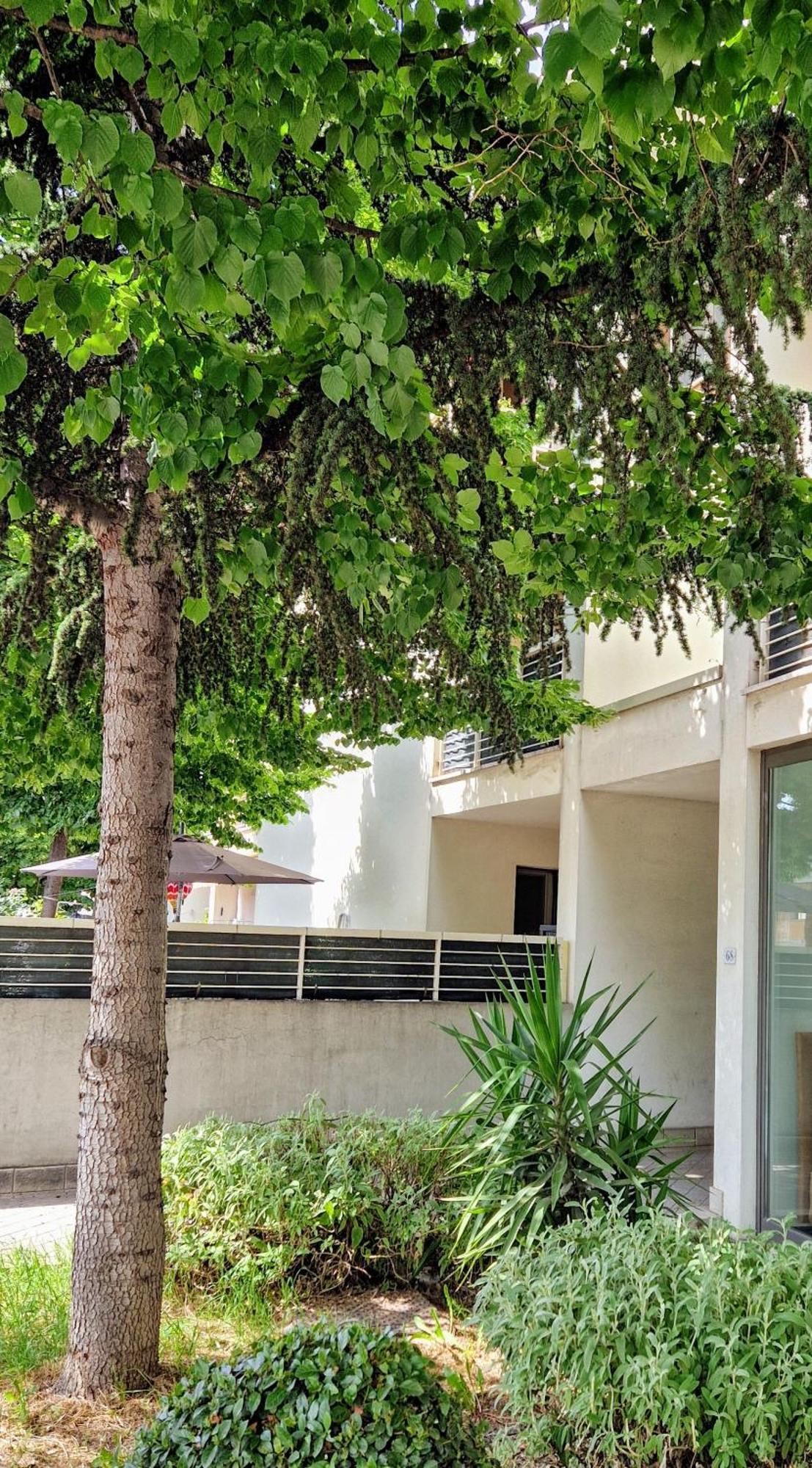 Apartamento Dolcenido Meyer Florencia